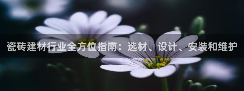 杏鑫平台代理怎么样