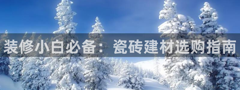 杏鑫官网最新信息新闻报道