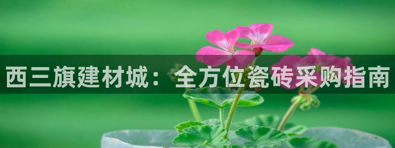 杏鑫平台靠谱吗