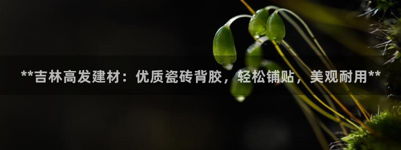 杏鑫平台正规吗是真的吗