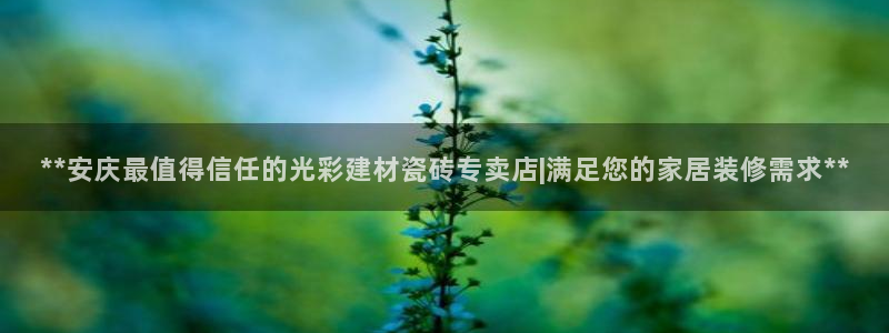 杏鑫平台招商