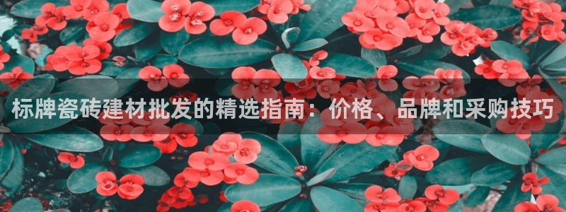 杏鑫平台是黑平台吗