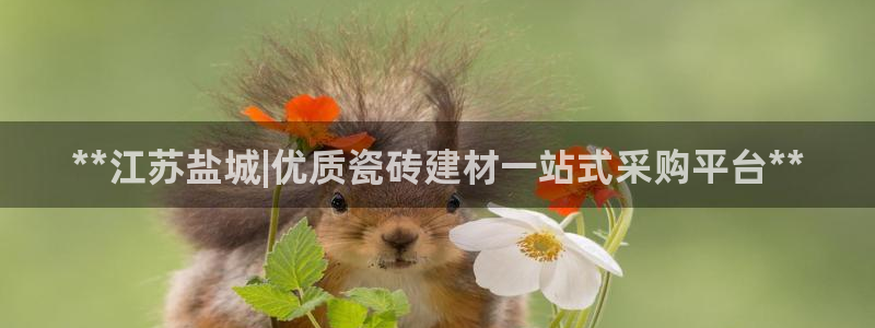 杏鑫娱乐怎么下