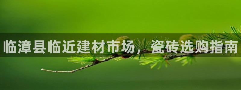 杏鑫手机客户端