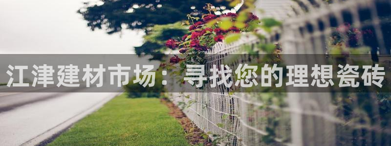 杏鑫手机客户端怎么下载