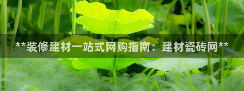 杏鑫平台是黑平台吗是真的吗