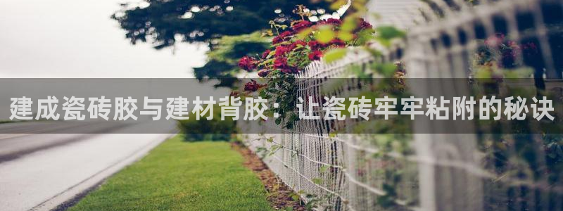 杏鑫平台注册地址