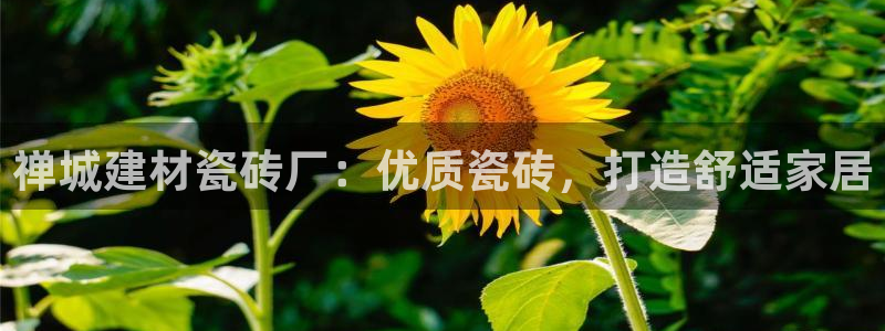杏鑫娱乐官网