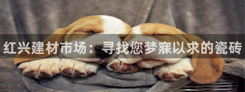 杏鑫娱乐平台测速