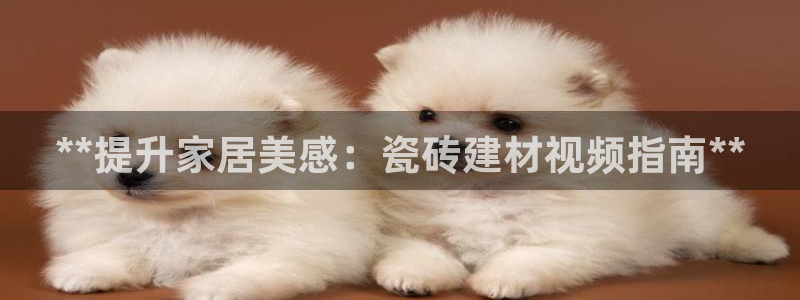 杏鑫平台代理注册多少钱啊