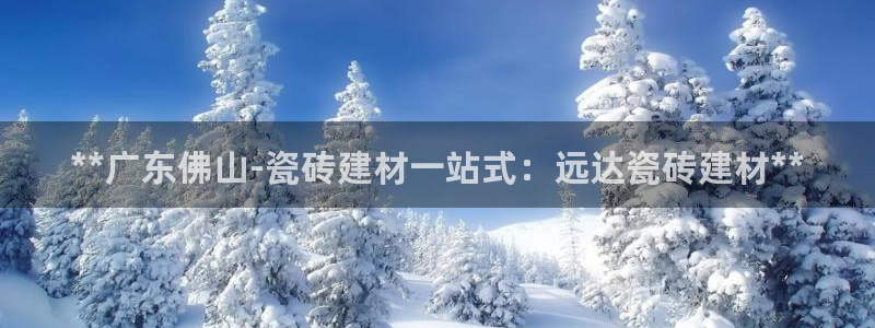 杏鑫测速注册