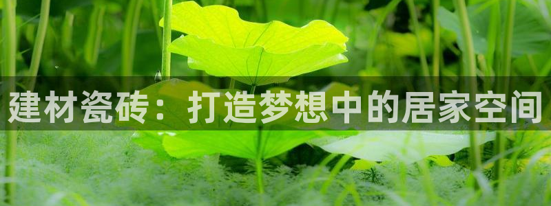 杏鑫平台提供