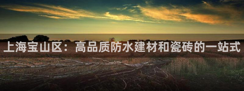 杏鑫平台广7O777