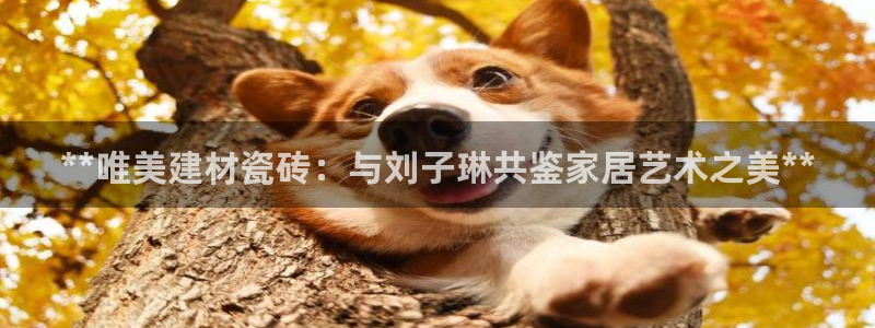 杏鑫注册登录代理