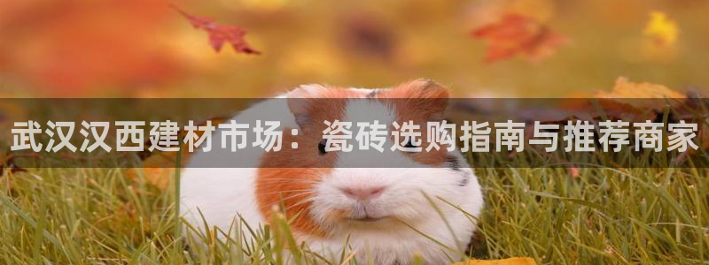 杏鑫官网注册账号密码是什么