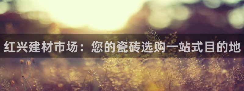 杏鑫手机客户端