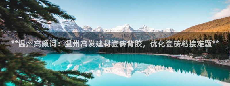 杏鑫测速注册