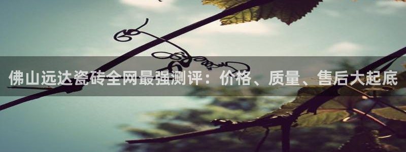 杏鑫官方平台怎么样啊安全吗