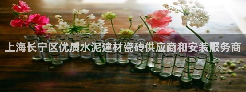 杏鑫平台注册地址在哪里