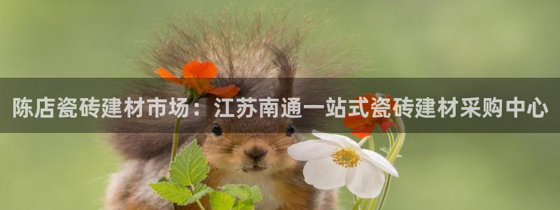 杏鑫平台怎么样