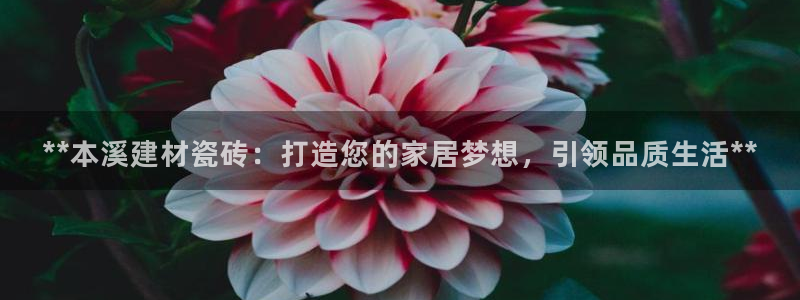 杏鑫注册平台官方网站入口