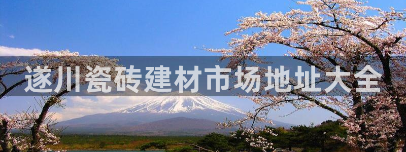 杏鑫娱乐官方网站客户端