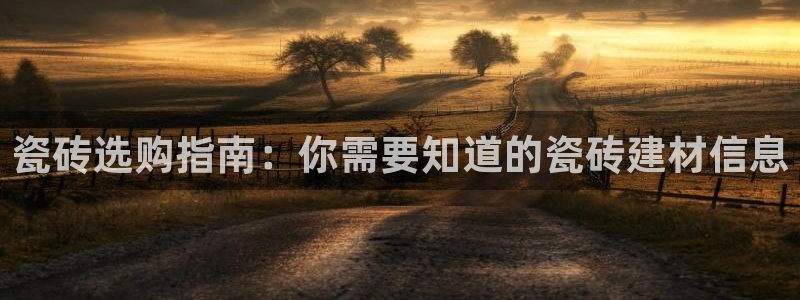 杏鑫主管