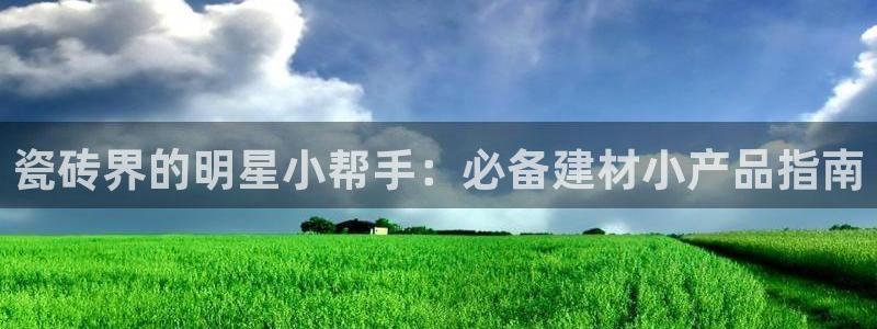 杏鑫平台注册网址是多少