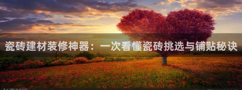 杏鑫官方平台怎么样啊安全吗