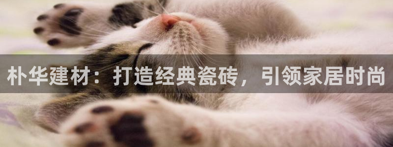 杏鑫官网最新信息新闻报道