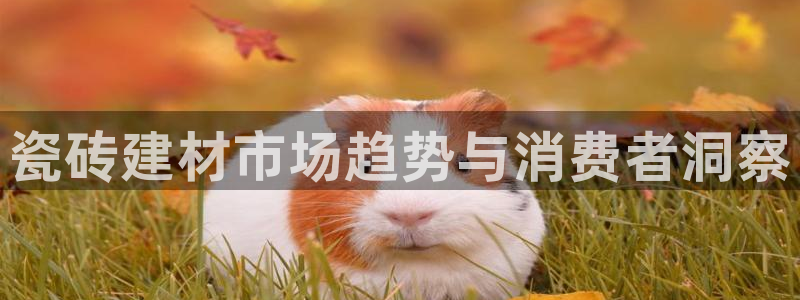 杏鑫官方平台怎么样