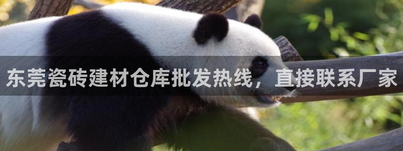 杏鑫娱乐是真的吗知乎