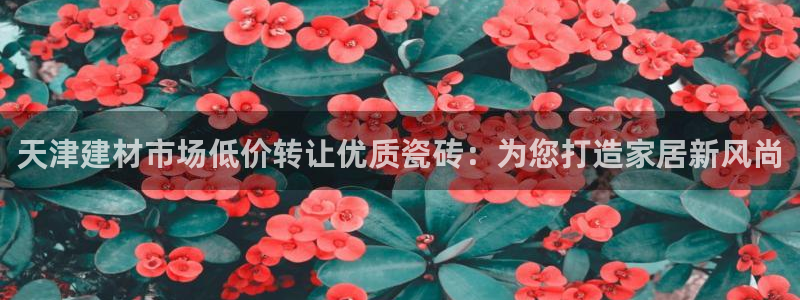 杏鑫平台招商怎么样