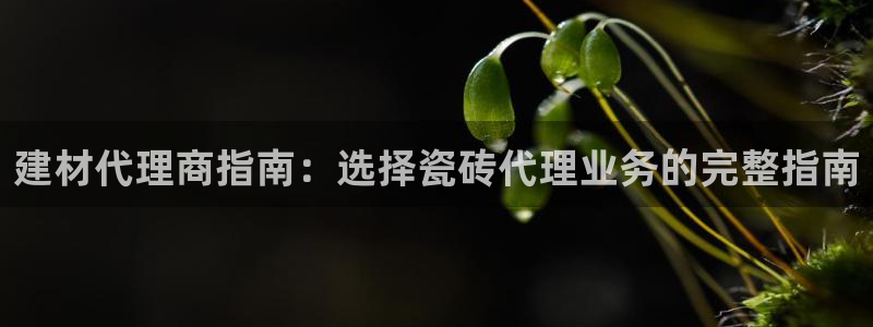 杏鑫娱乐平台测速怎么样