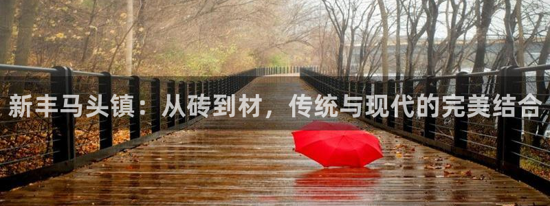 杏鑫3主管