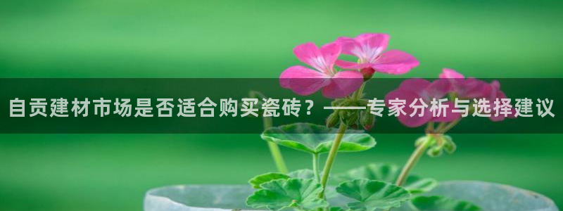 杏鑫平台测速