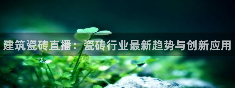 杏鑫官方平台怎么样啊可靠吗