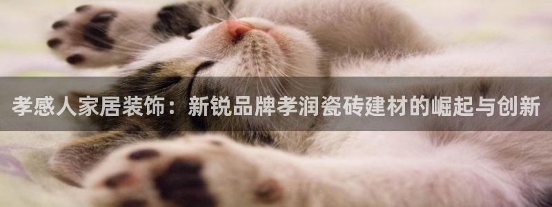 杏鑫平台直属哪个公司