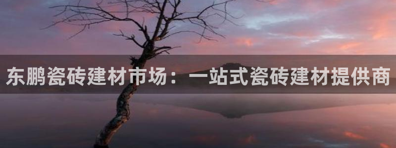 杏鑫平台正规吗是真的吗