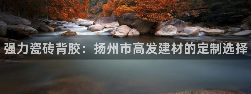 杏鑫有亏损返点吗