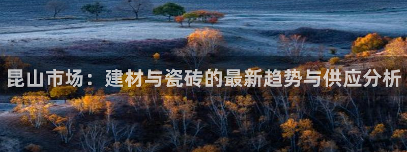 杏鑫官网最新信息新闻