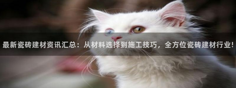 杏鑫平台在线注册