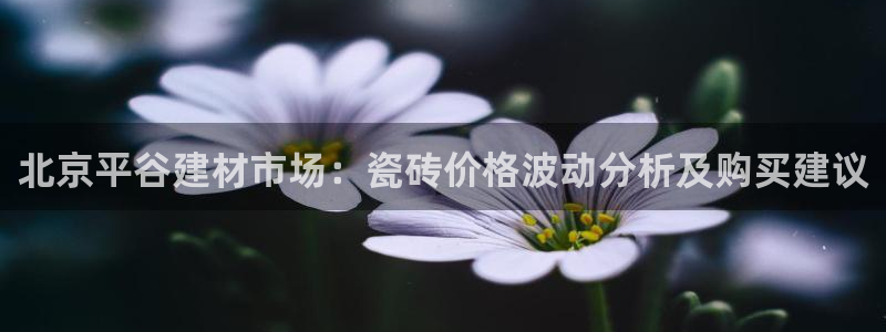 杏鑫平台代理怎么样可靠吗