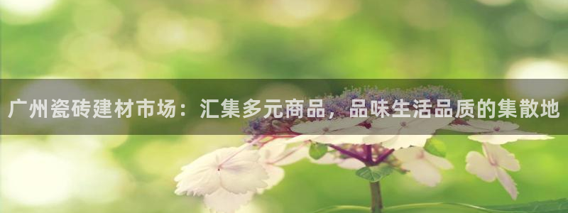 杏鑫平台测速怎么样