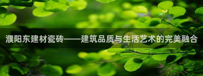 杏鑫官方平台怎么样
