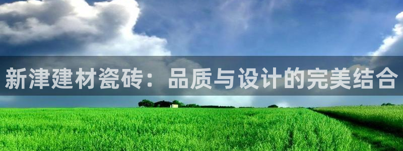 杏鑫平台代理怎么做赚钱