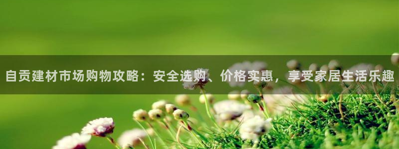 杏鑫平台代理怎么样赚钱