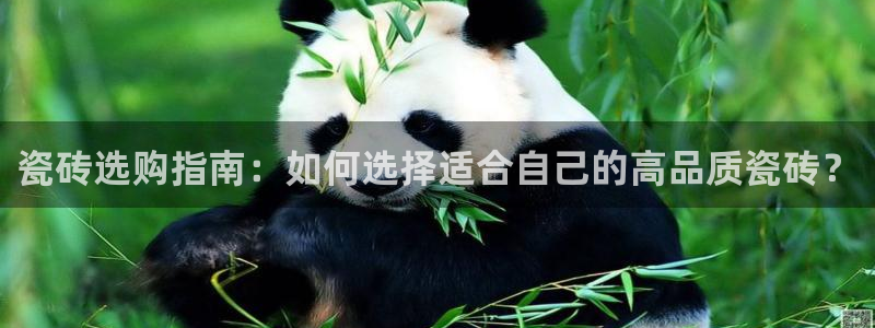 杏鑫平台代理怎么样