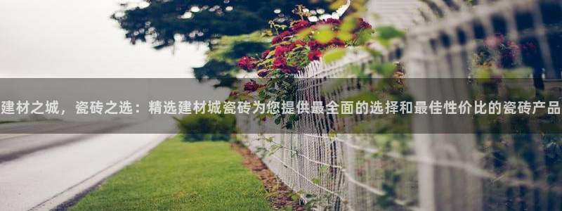 杏鑫主管
