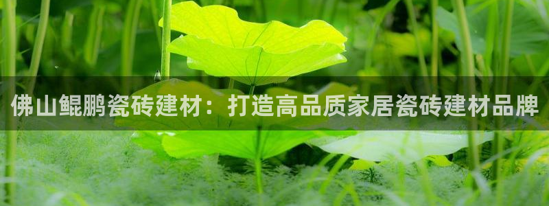 杏鑫平台怎么样黑钱吗安全吗是真的吗